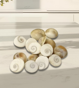 Gomati Chakra