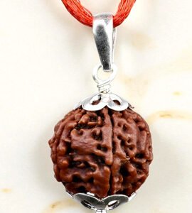 5mukhi silver capping Rudraksha